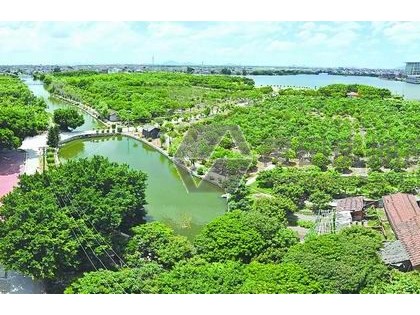 浅论拓展绿化空间