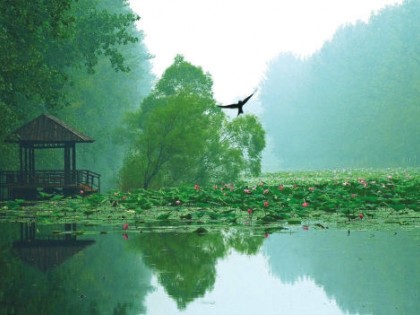 DDON笛东三项目连获殊荣