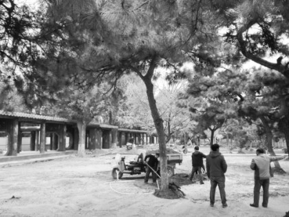 辽宁八一公园变身首个国防主题公园