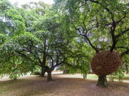 创意无穷的“鸟巢”儿童空间设计