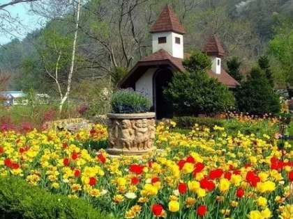 缔造童话 韩国香草王国农园