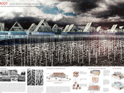 2015d3自然系统设计大赛中国作品获第一