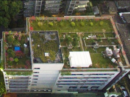 福州强制推行立体绿化