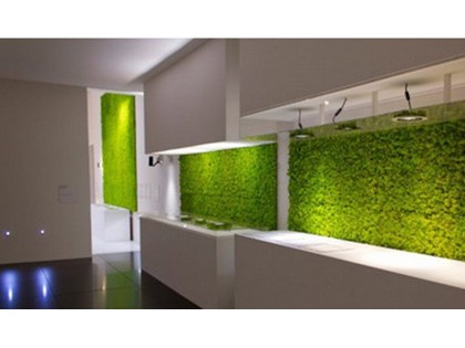 苔藓墙，在家里植入一片绿洲