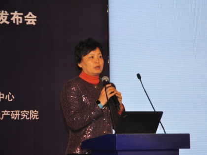 秦虹：展望“十三五”房地产投资