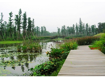 杭州西溪湿地进行防洪工程建设