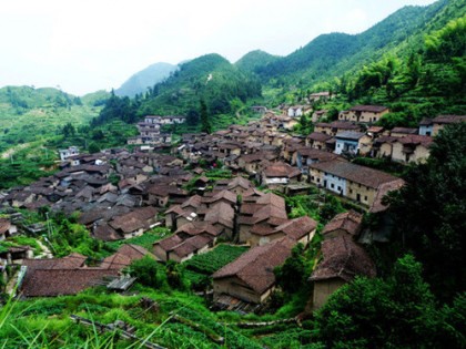 建筑师助力丽水开发民宿旅游
