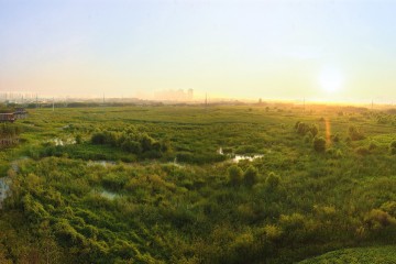 群里湿地公园/Turenscape